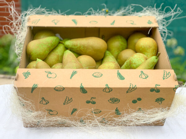 Obstkiste Birne